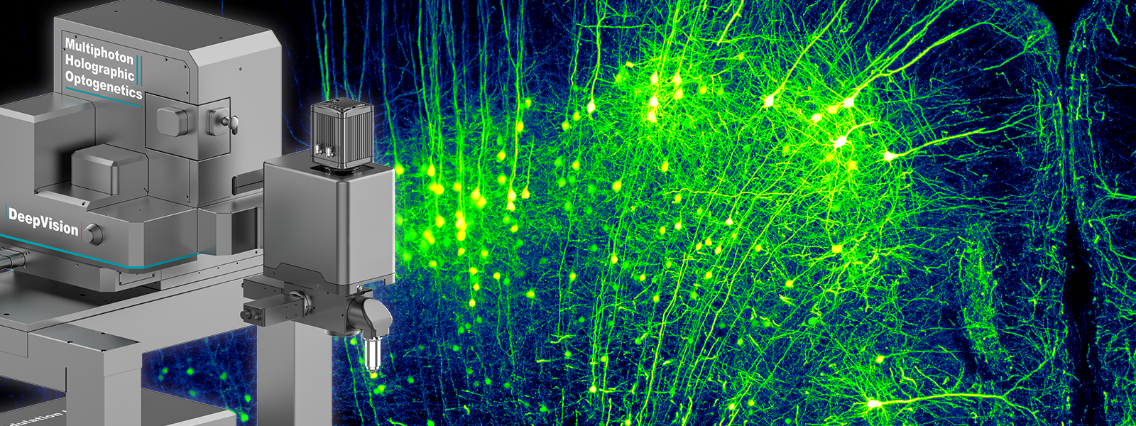 Multiphoton