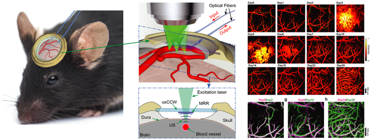 Nanophotonics